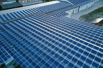 array of solar panels